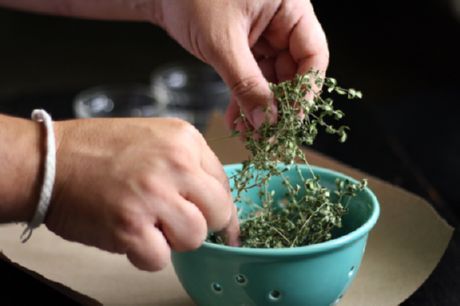 Rempah kering (kemangi dan oregano)