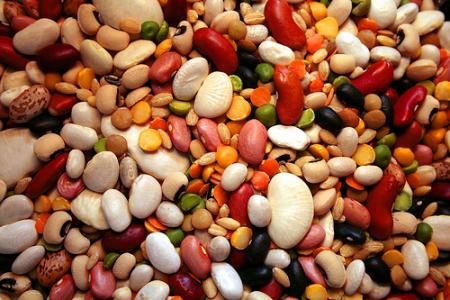 Kacang-kacangan