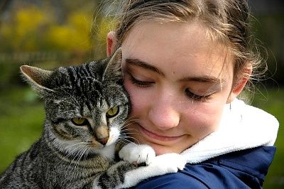 Alergi terhadap kucing