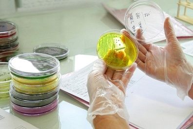 Ahli bakteriologi