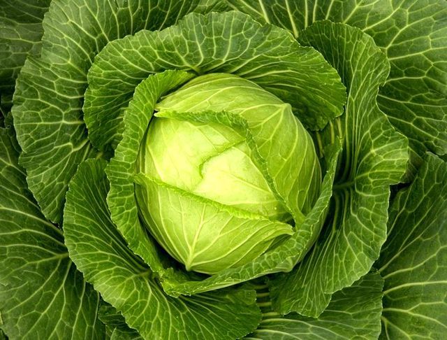 Produk terbaik untuk menurunkan berat badan dan kecantikan