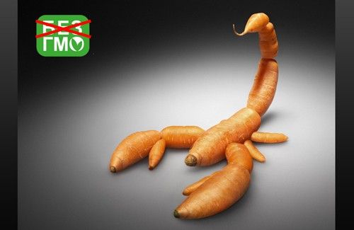 Mengapa Amerika tidak ingin meninggalkan makanan hasil rekayasa genetika?