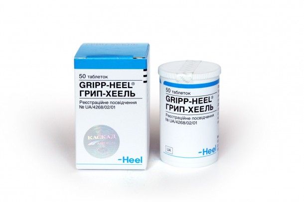 Gripp hel dan bantuannya selama flu