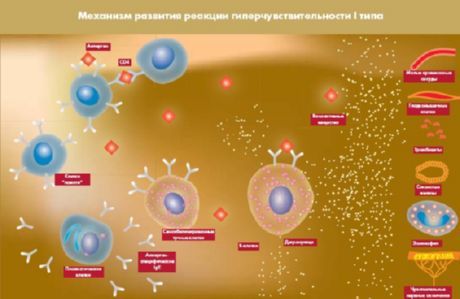 Protein yang Ditemukan Akan Menjadi Target Baru untuk Mengobati Diabetes