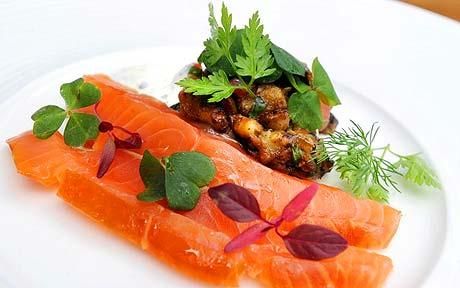 Ikan salmon