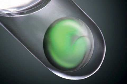 Retina tumbuh dari sel induk embrionik manusia