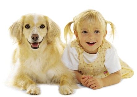 Bakteri yang ditemukan pada anjing dapat mencegah asma