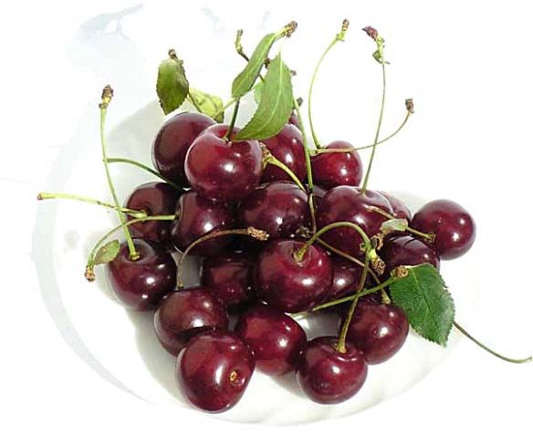 Acidic cherry mengandung lebih banyak zat anti-inflamasi dibanding produk lainnya