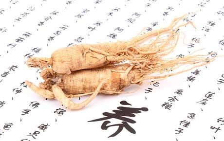 Ginseng selama kehamilan